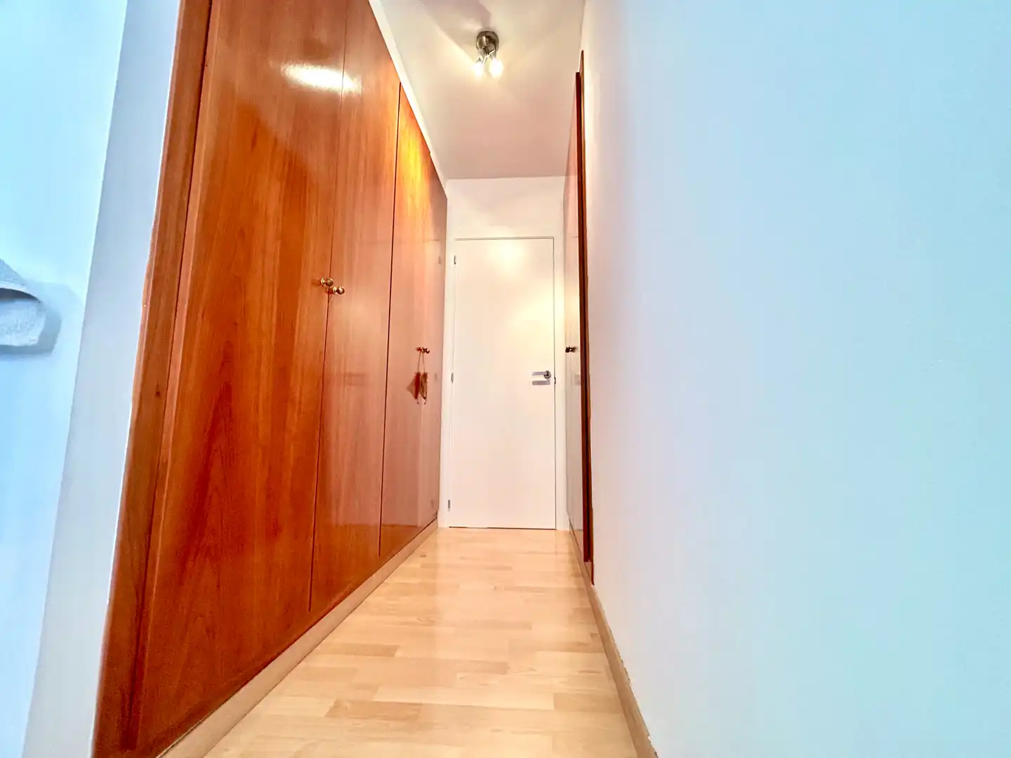 Attique avec ascenseur à vendre à Carrer de Miquel Adlert i Noguerol, imagen 28