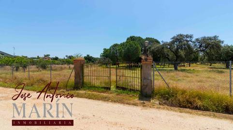 Photo 3 of Land for sale in Pedanías de Badajoz, Badajoz Capital