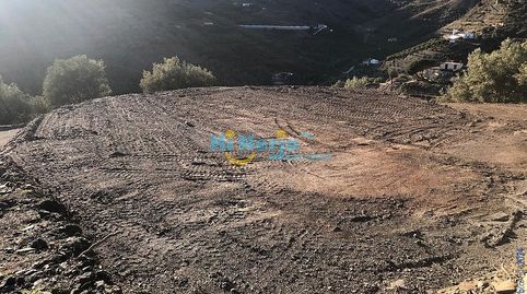 TERRENO A LA VENTA EN TORROX