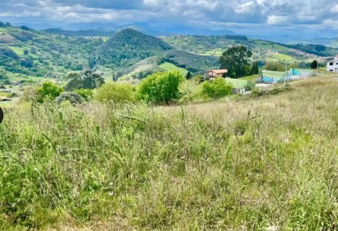 Terrenys i solars en venda a la arenosa, imagen 2