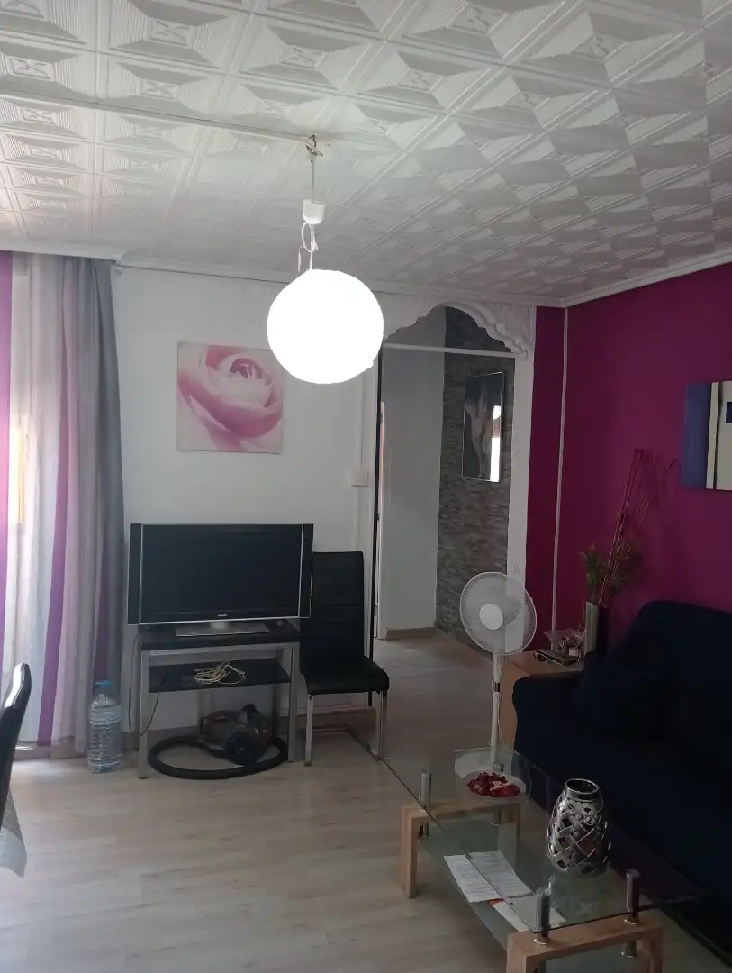 Sala de estar de Piso de alquiler en Valencia con Amueblado, Horno y Lavadora