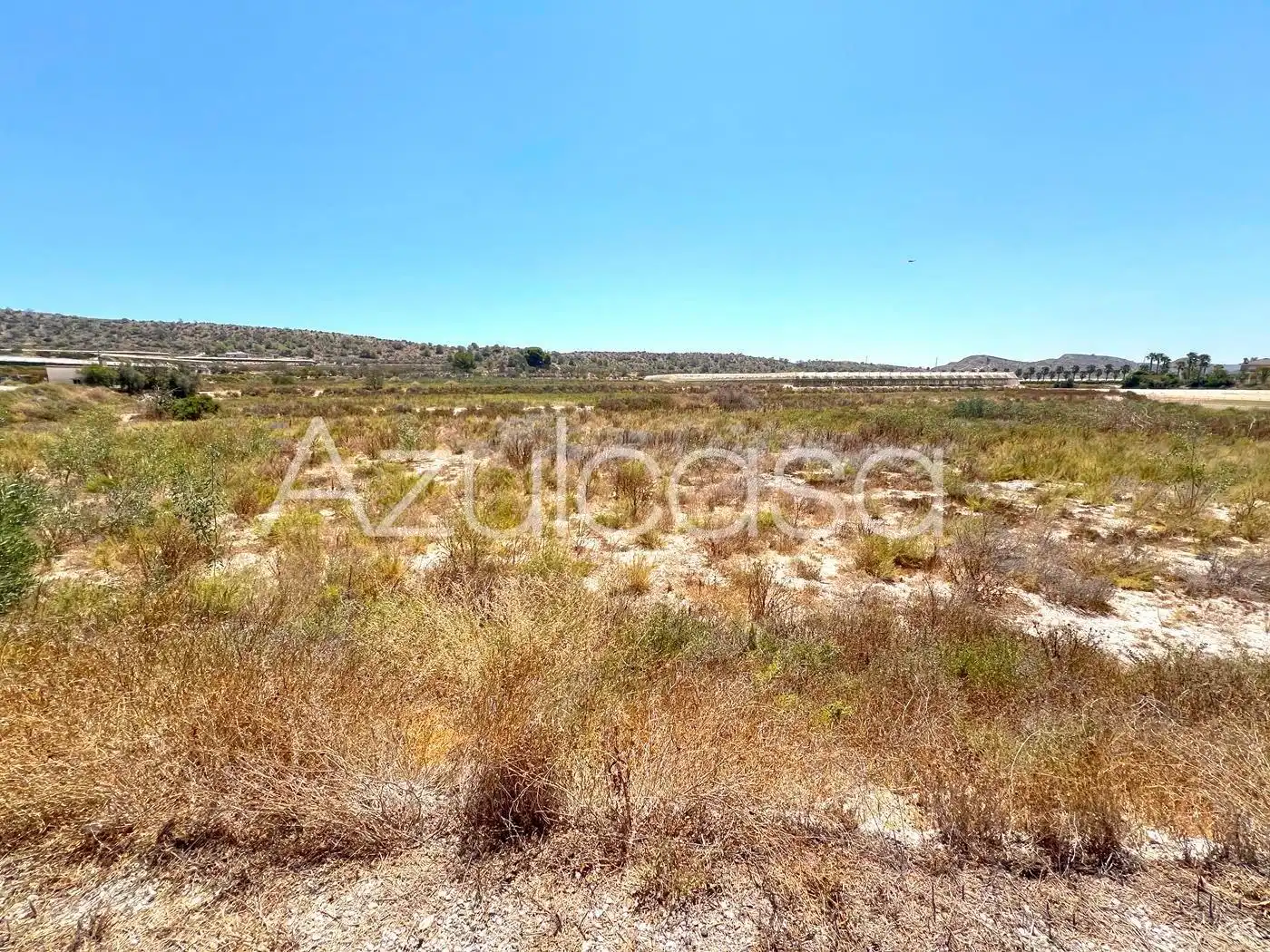 Land for sale in Monforte del Cid