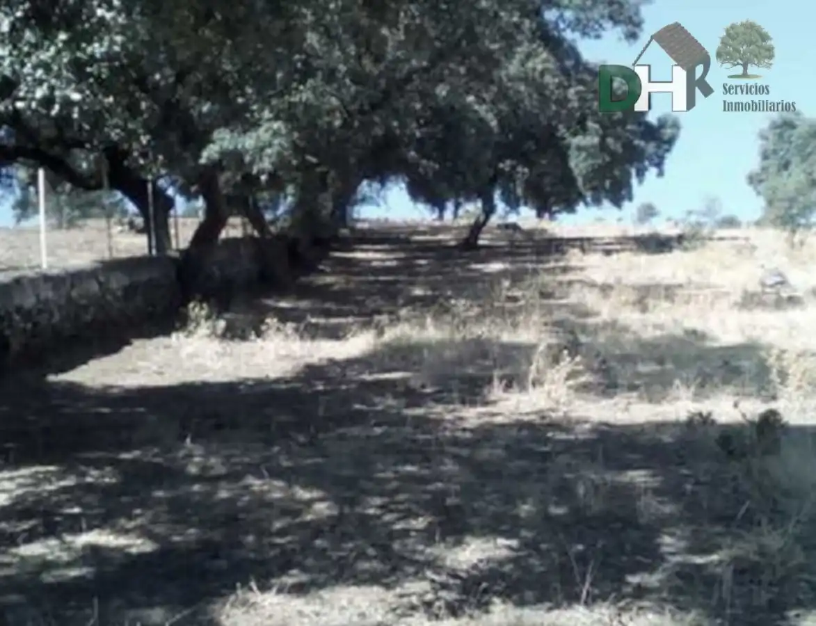 Terreni e lotti in vendita a Jerez de los Caballeros, imagen 10