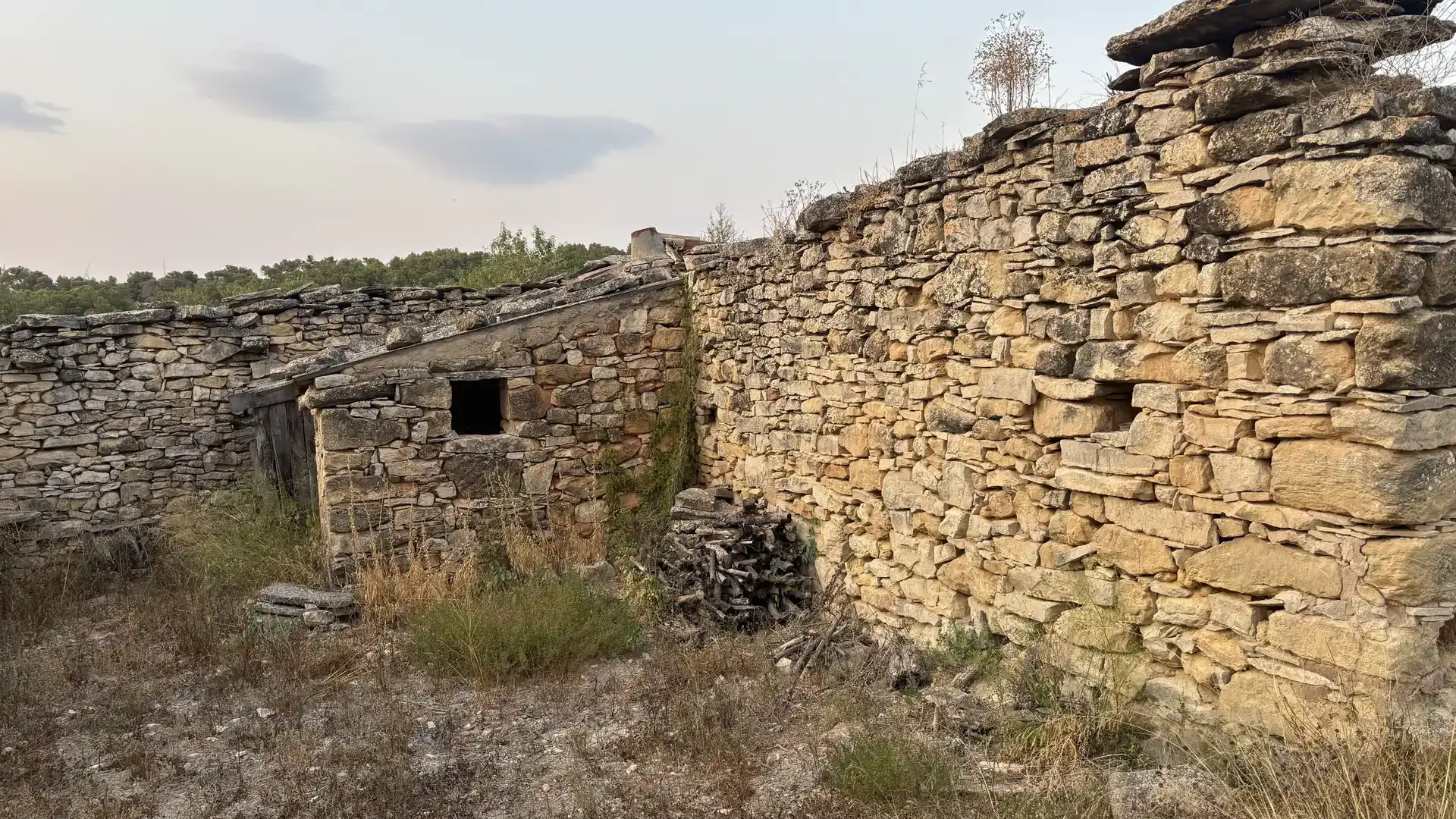 Vista exterior de Finca rústica en venda en La Fatarella amb Jardí privat