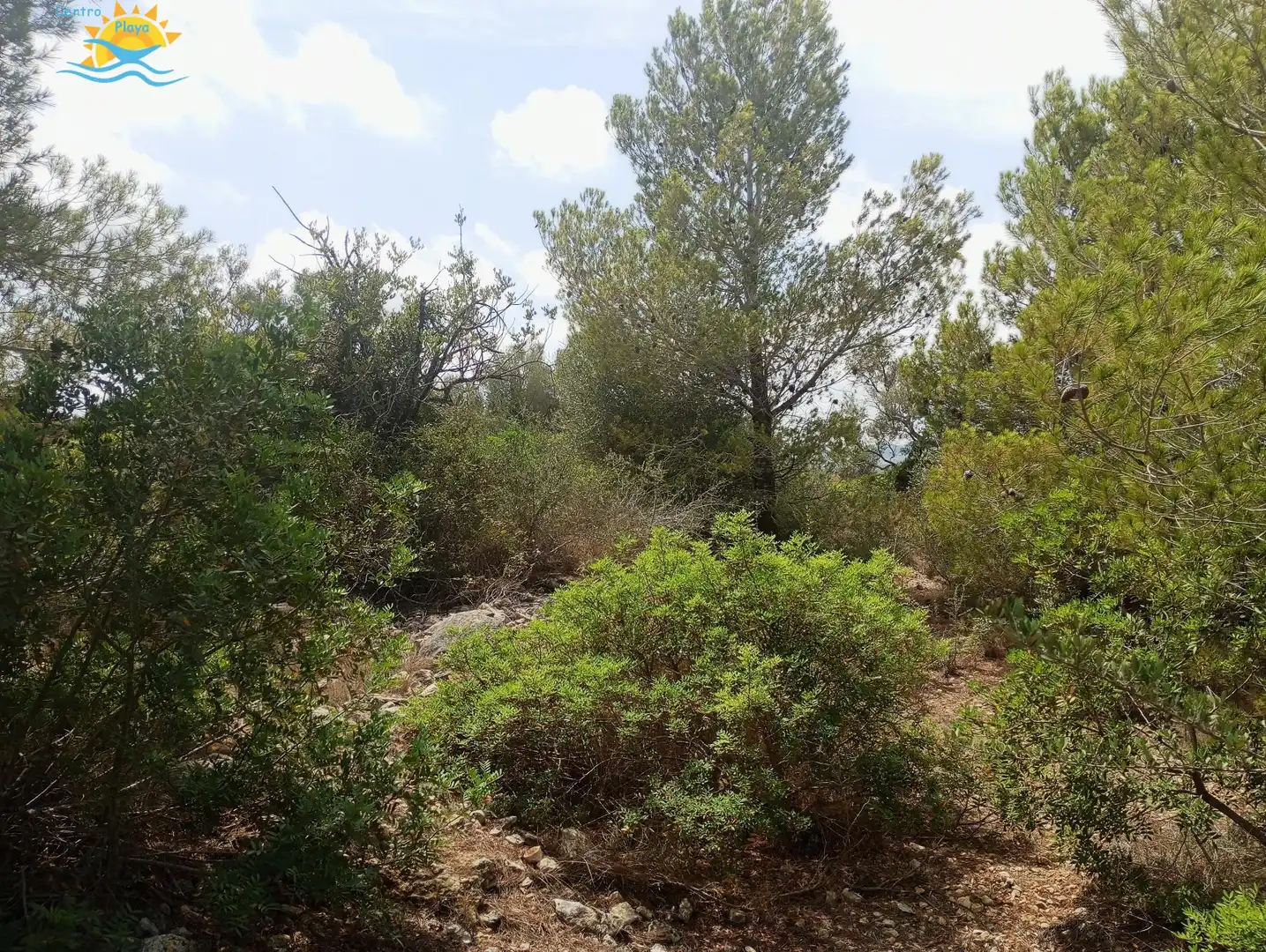 Maison rustique à vendre à CALIG CASTELLON 12589, imagen 18