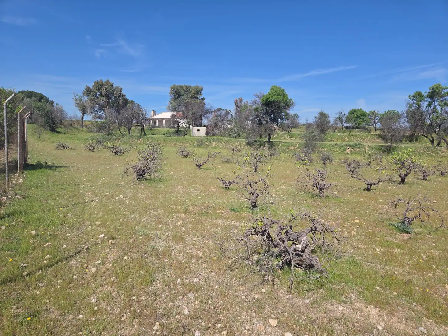 Finca rústica en venta en Navalcarnero