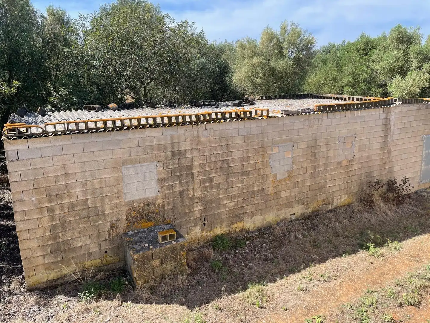 Vista exterior de Finca rústica en venta en Ariany con Jardín privado