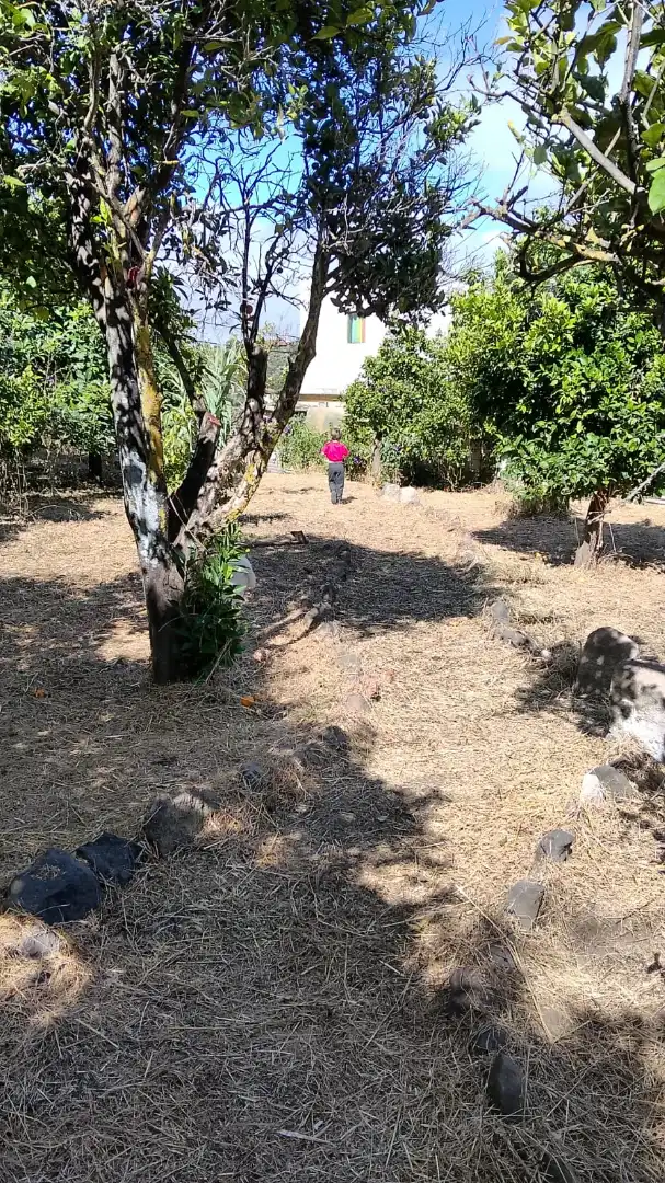 Jardí de Finca rústica en venda en Santa Brígida