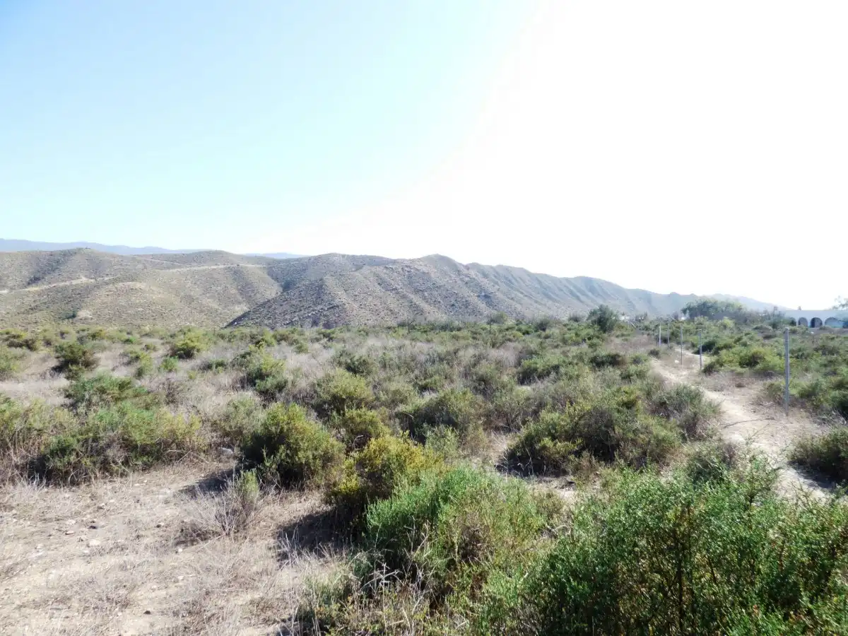 Country house for sale in Calle Torreta, imagen 6