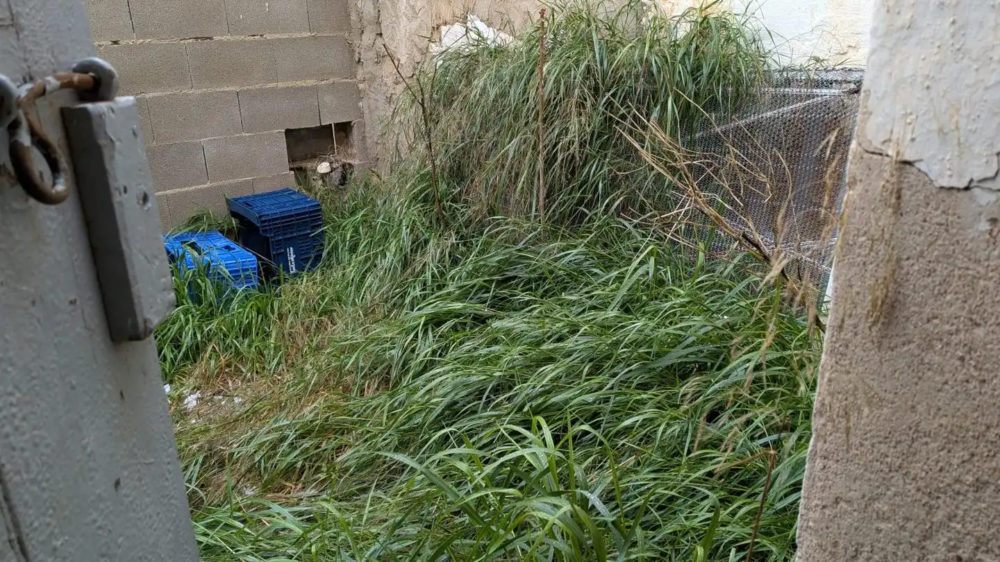 Jardí de Casa o xalet en venda en Pozohondo