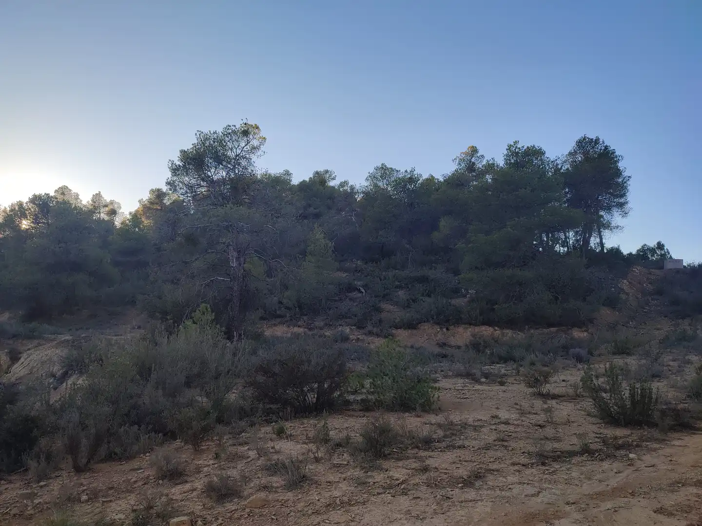 Terreno rústico en venta en L'Albagés, imagen 38