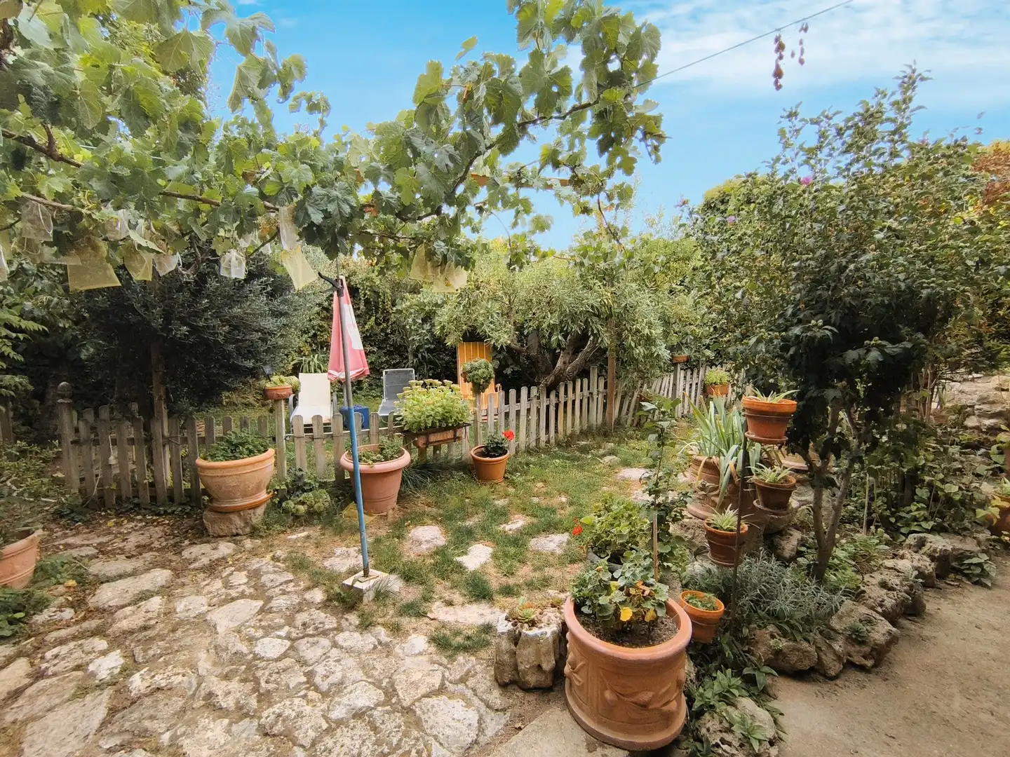 Jardín de Finca rústica en venta en Amusco, Palencia