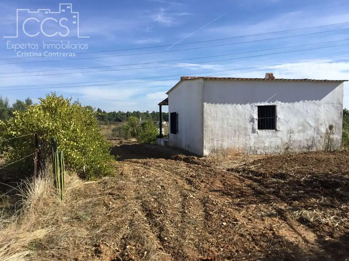 Country house for sale in Almonte ciudad, imagen 33
