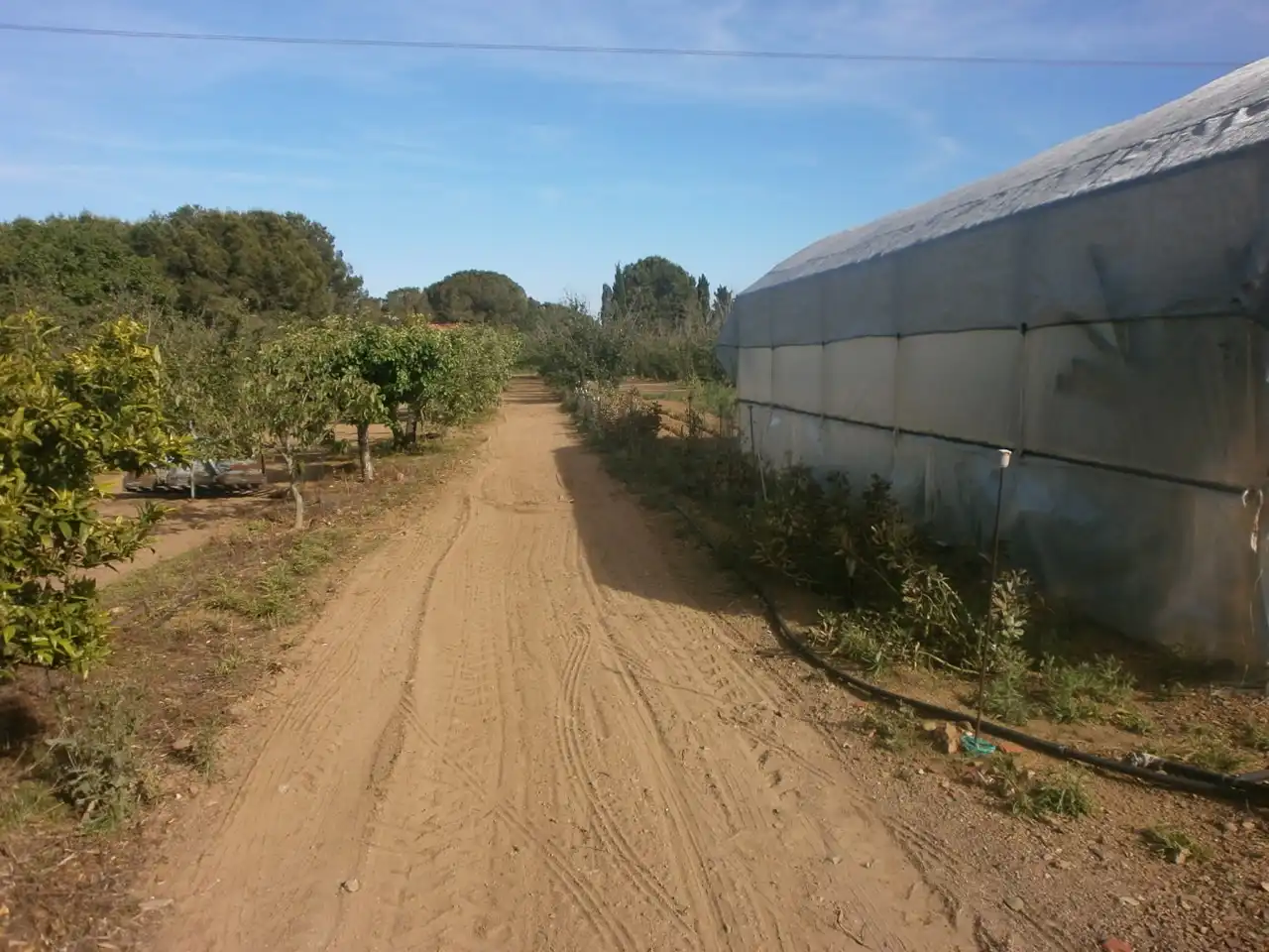 Rural land for sale in Camí del Recreo 25, imagen 16