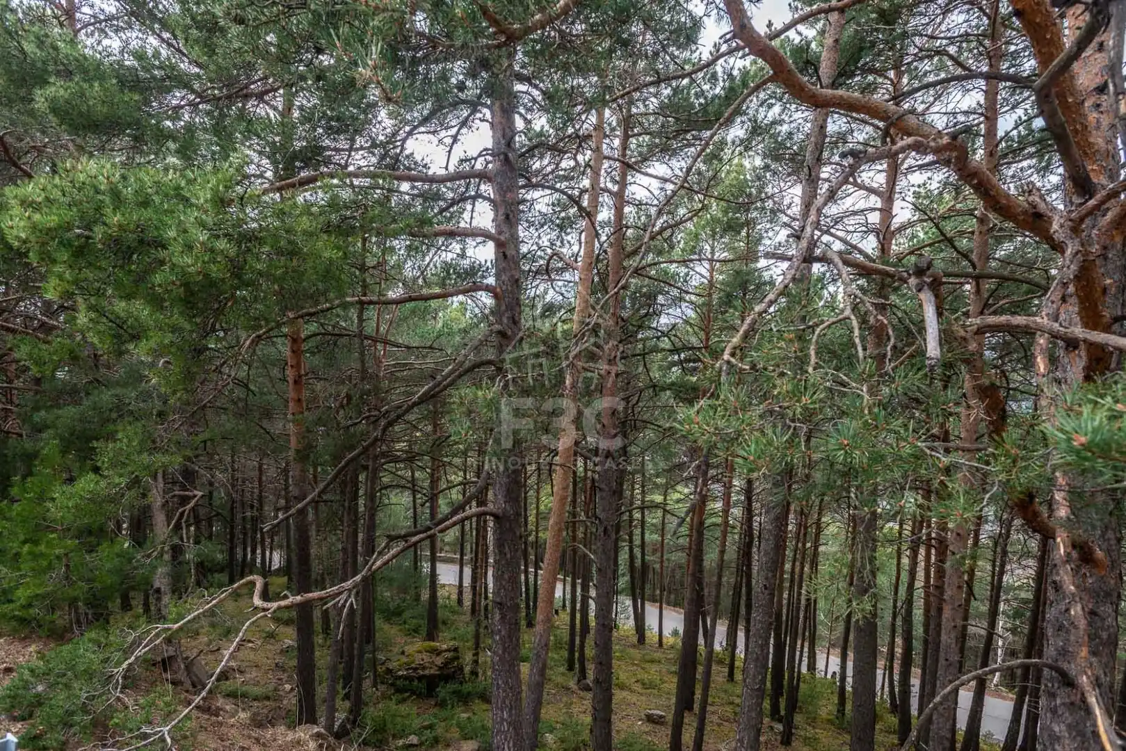 Terreno en venta en Aubinyà - Juberri