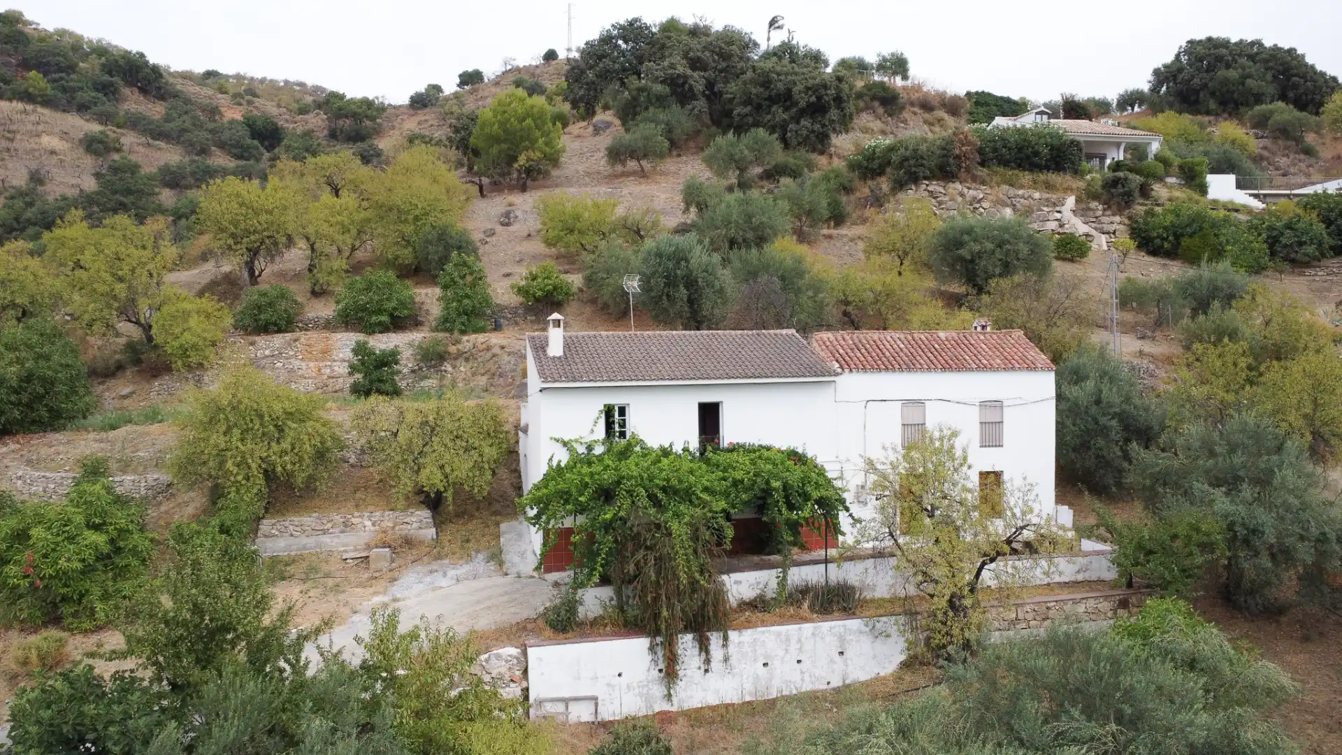 Rural land for sale in Monda, imagen 31