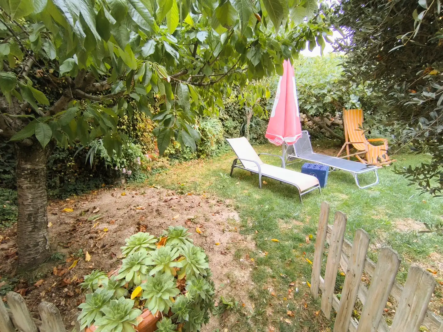 Jardín de Finca rústica en venta en Amusco, Palencia