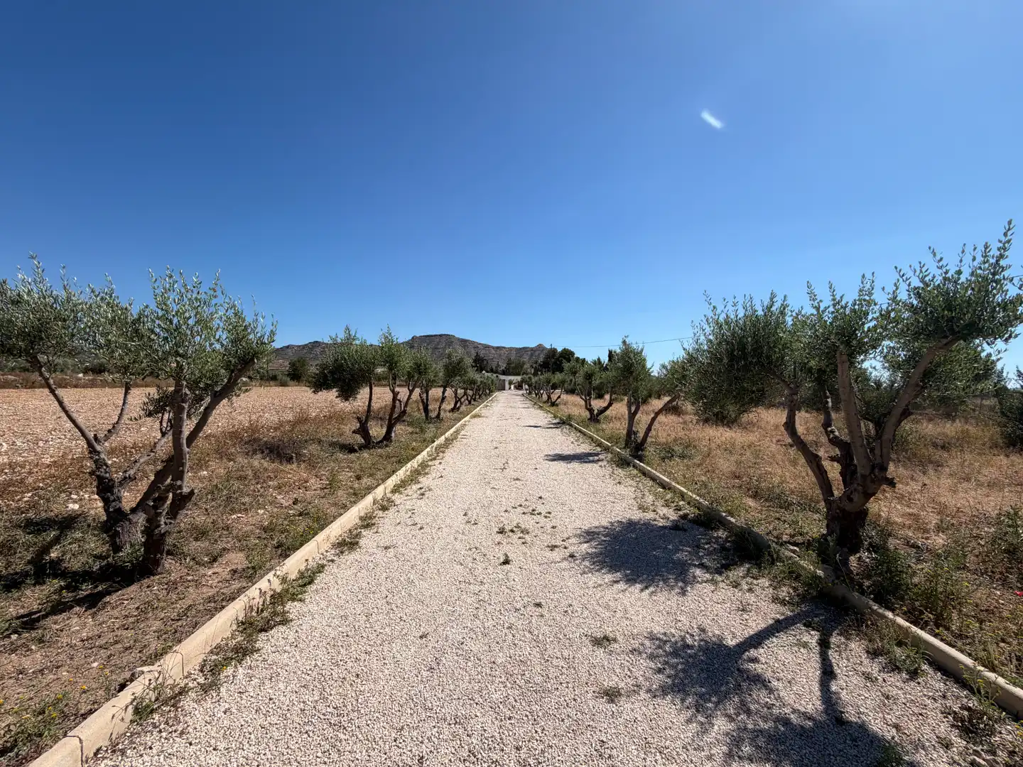 Casa o xalet en venda en Aspe amb Aire condicionat, Calefacció i Jardí privat