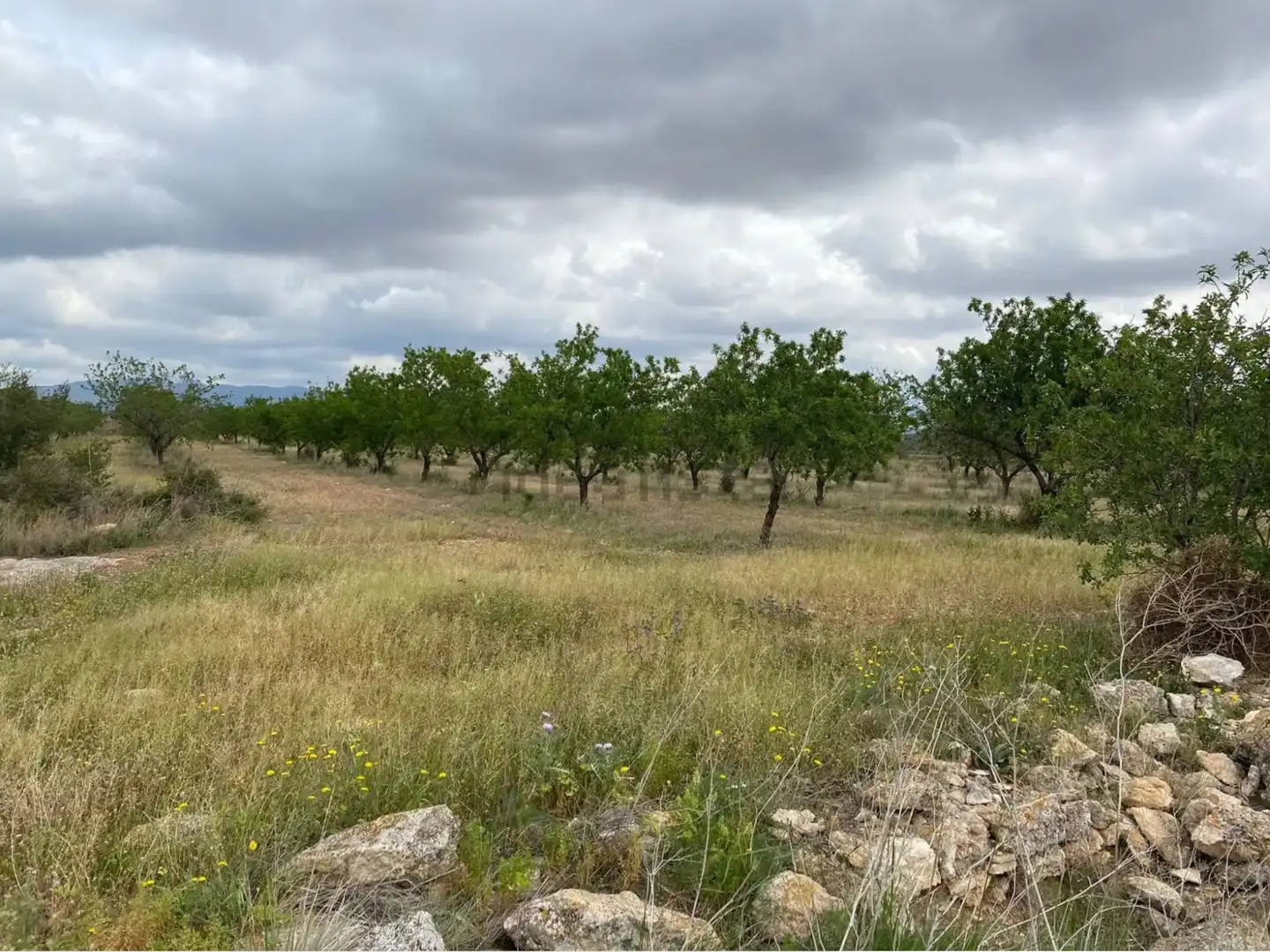 Terrain rustique à vendre à Carrer dels Teixidors, imagen 11