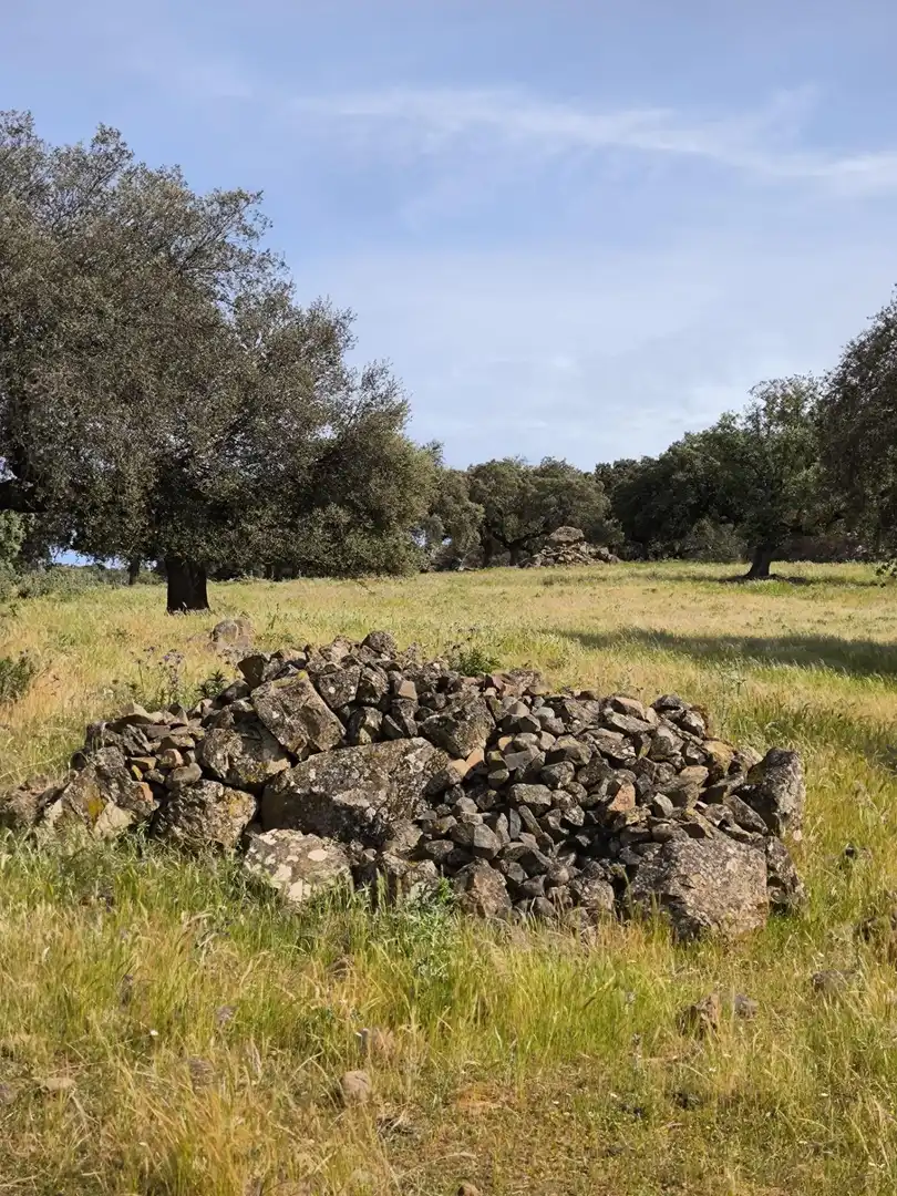 Rural land for sale in Fuente Obejuna, imagen 19
