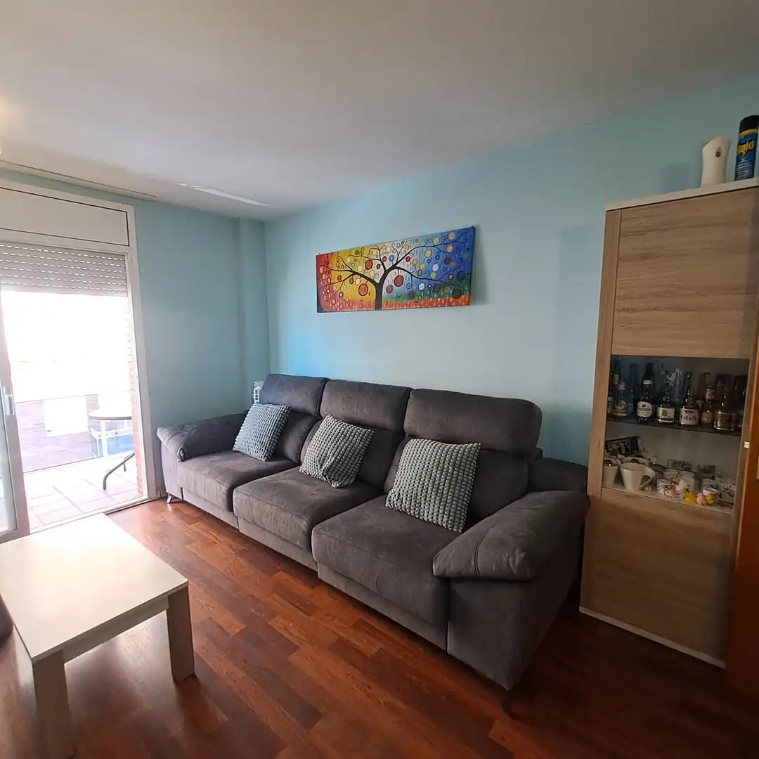Sala de estar de Dúplex en venta en Castellbisbal con Calefacción, Parquet y Terraza