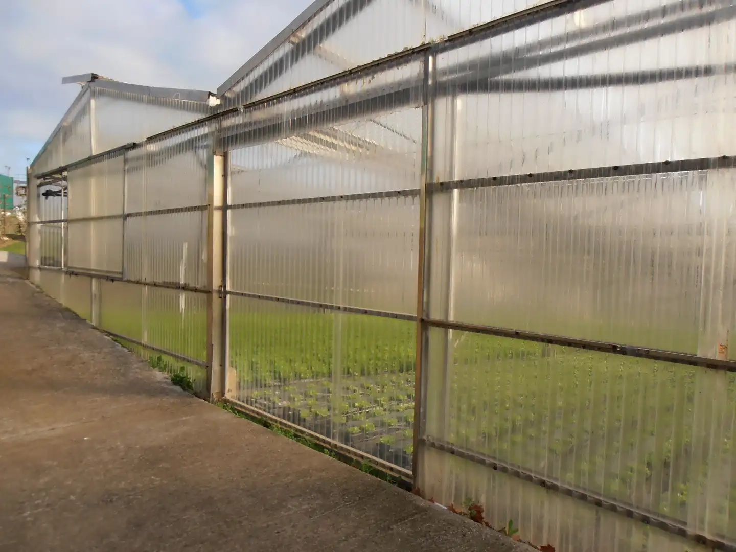 Garden of Land for sale in Donostia - San Sebastián 