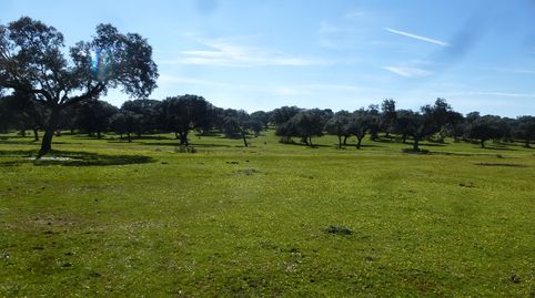 Foto 5 de Terreno en venta en Maqueda, Toledo