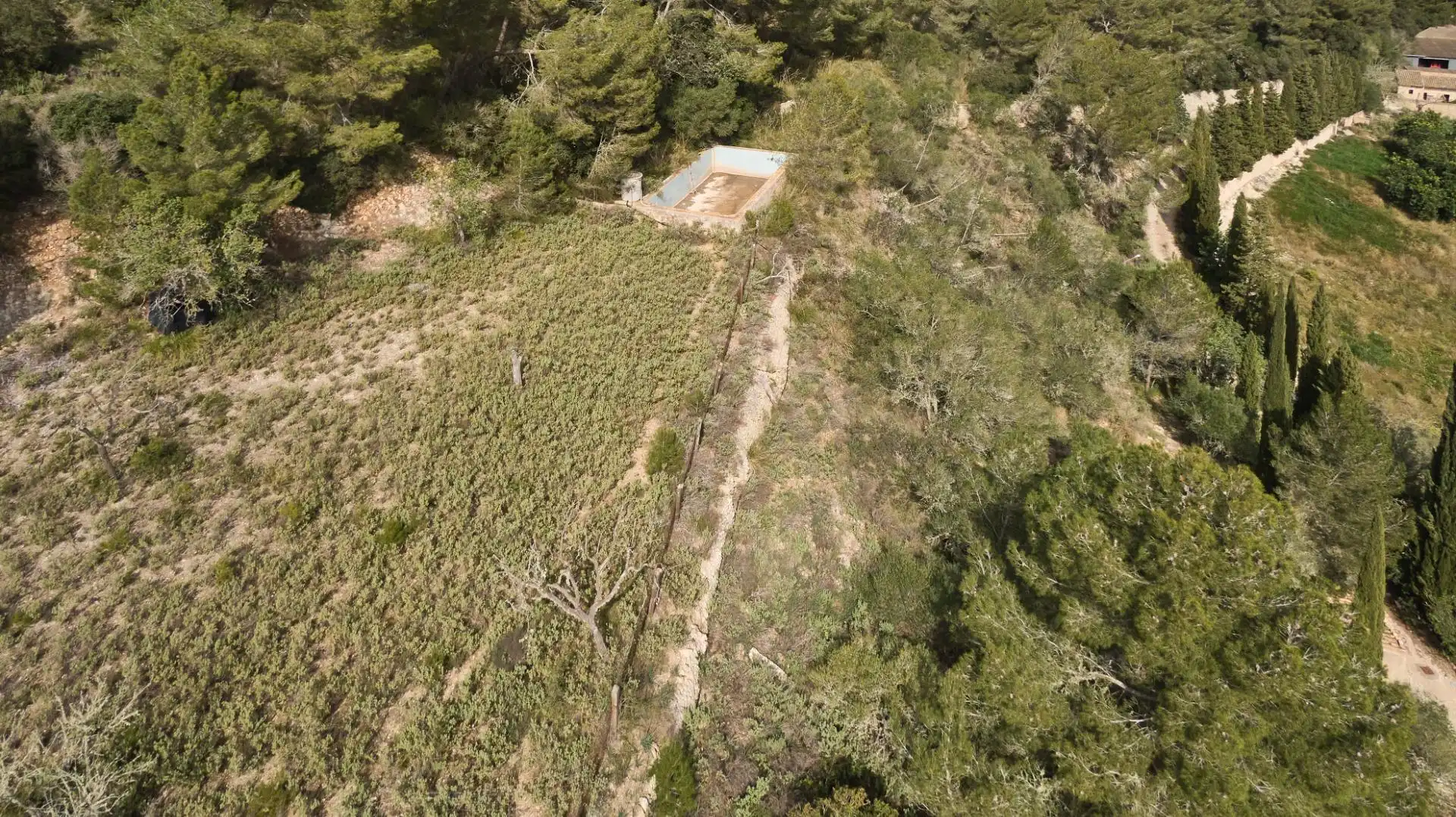Casa rústica amb piscina en venda a Llucmajor pueblo, imagen 11
