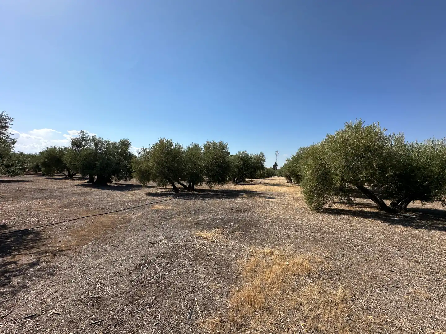 Casa o chalet en venta en Úbeda con Aire acondicionado, Jardín privado y Terraza