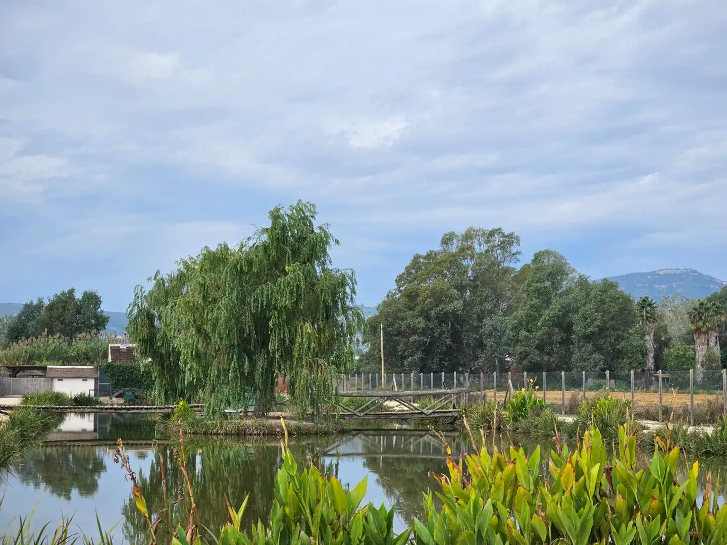 Garden of Country homes for sale in Amposta  with Air Conditioner, Private garden and Terrace
