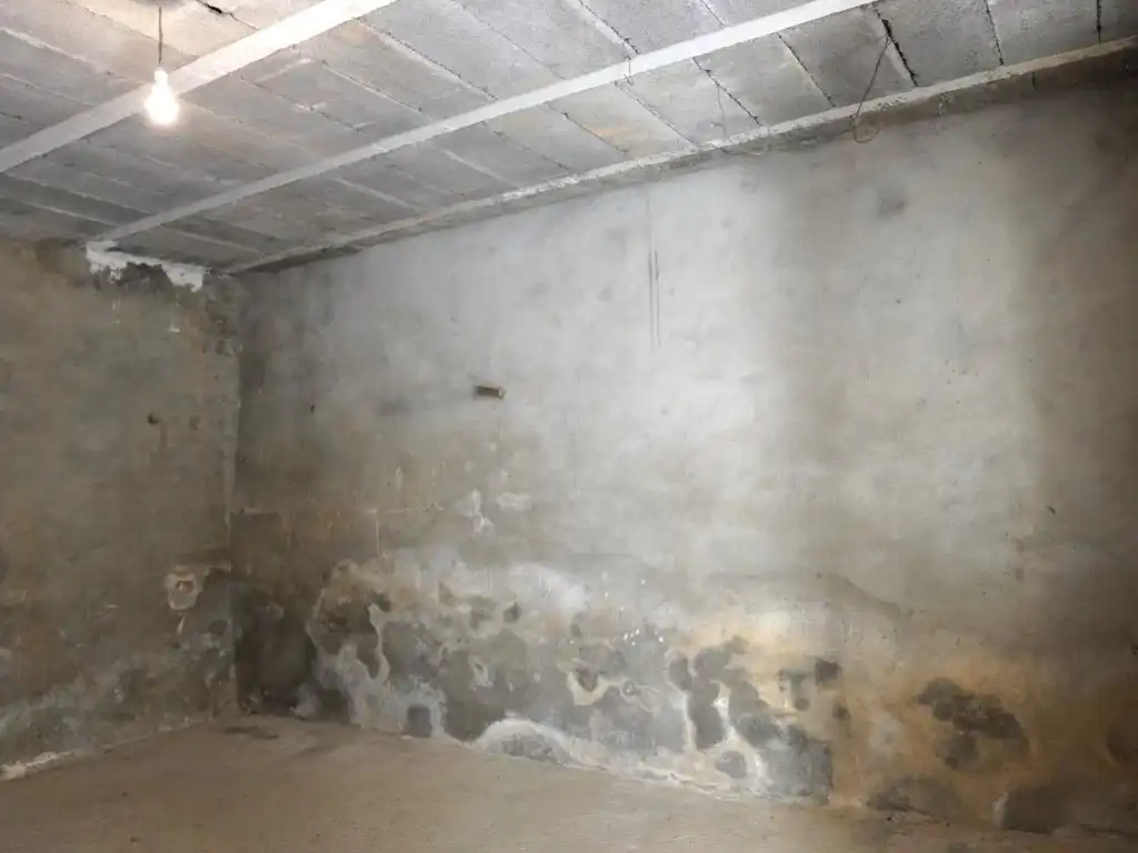 Casa o xalet en venda a Calle Asuncion Ag. Rañin, La Fueva