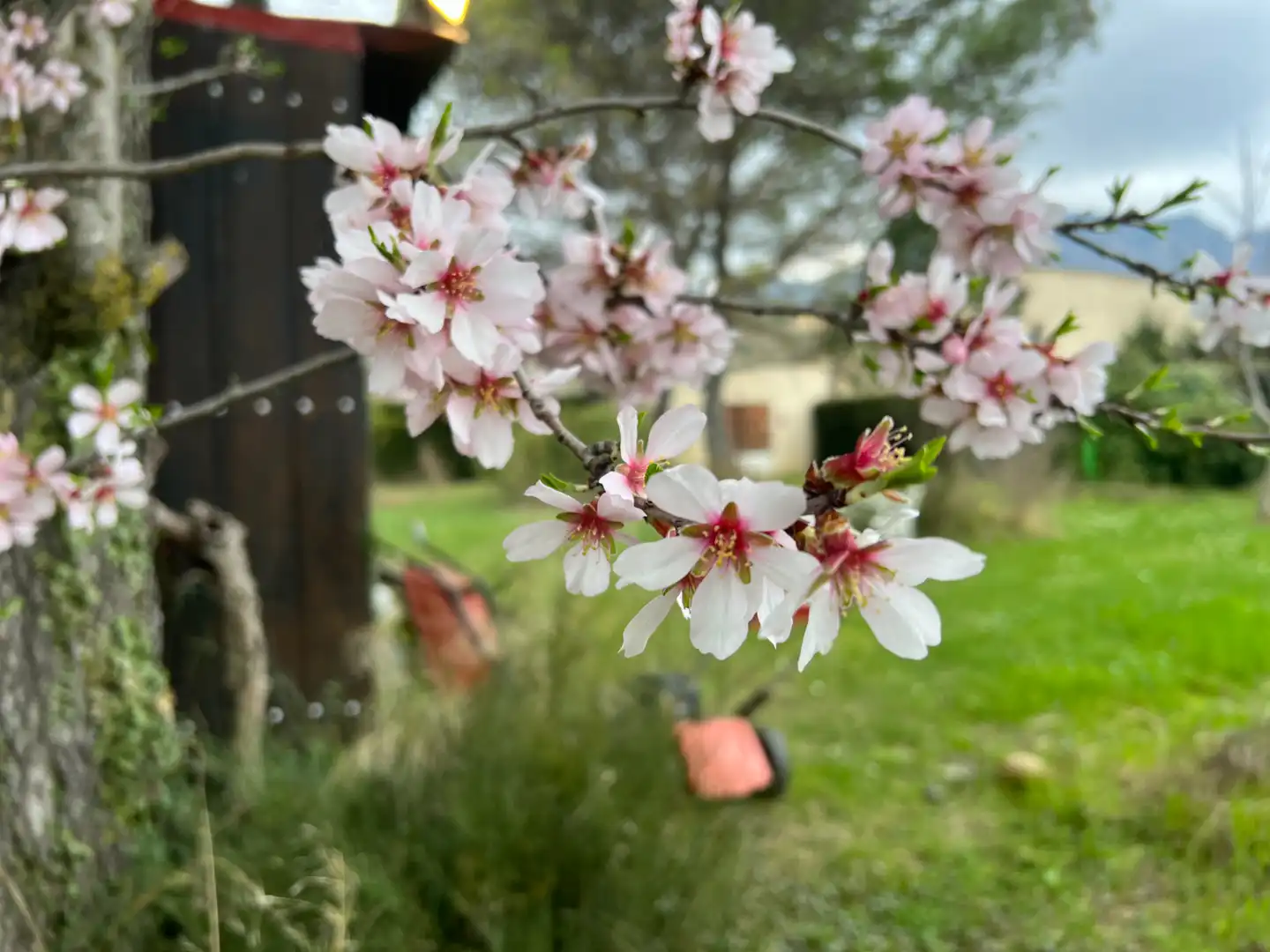 Jardín de Casa o chalet en venta en Murillo de Gállego