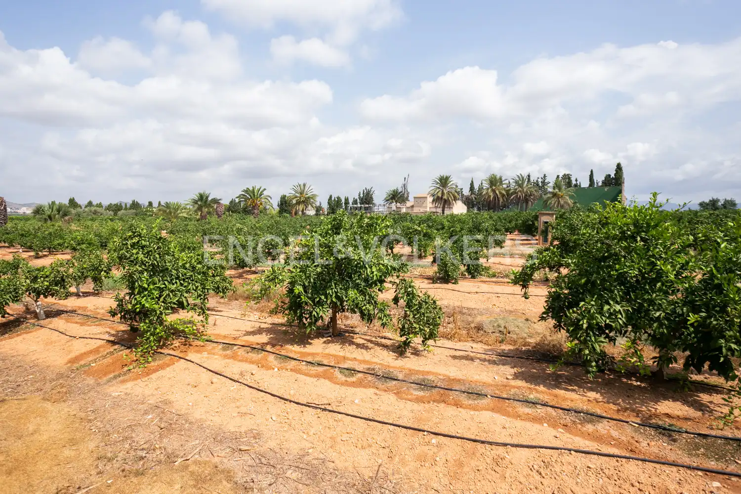 House with terrace for sale in Gallipont, imagen 90