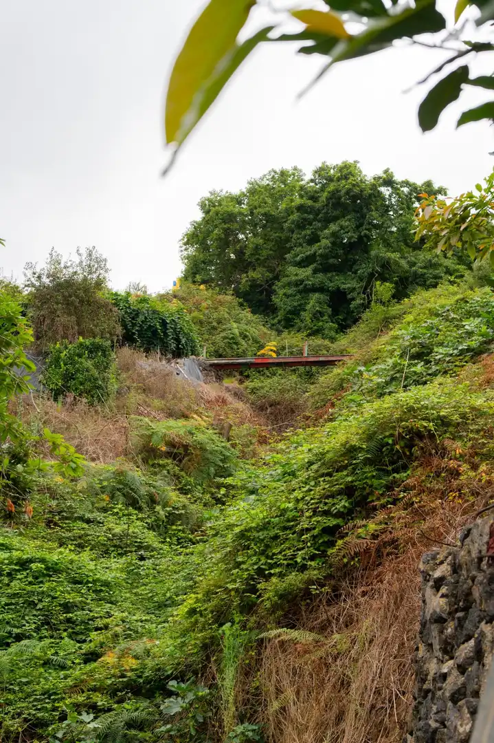 Maison rustique avec jardin à vendre à La Perdoma - San Antonio - Benijos, imagen 46