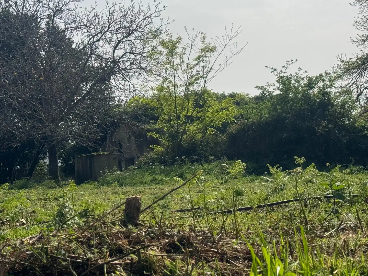 Casa rústica en venda a Lugar Pena 31, imagen 25