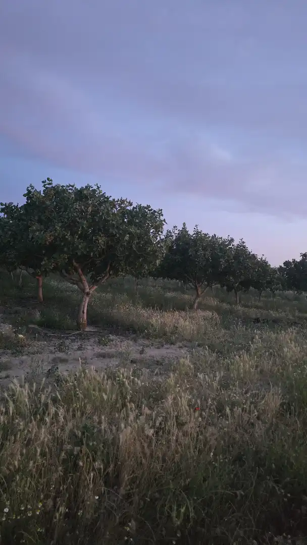 Terreno rustico in vendita a Ontígola, imagen 8
