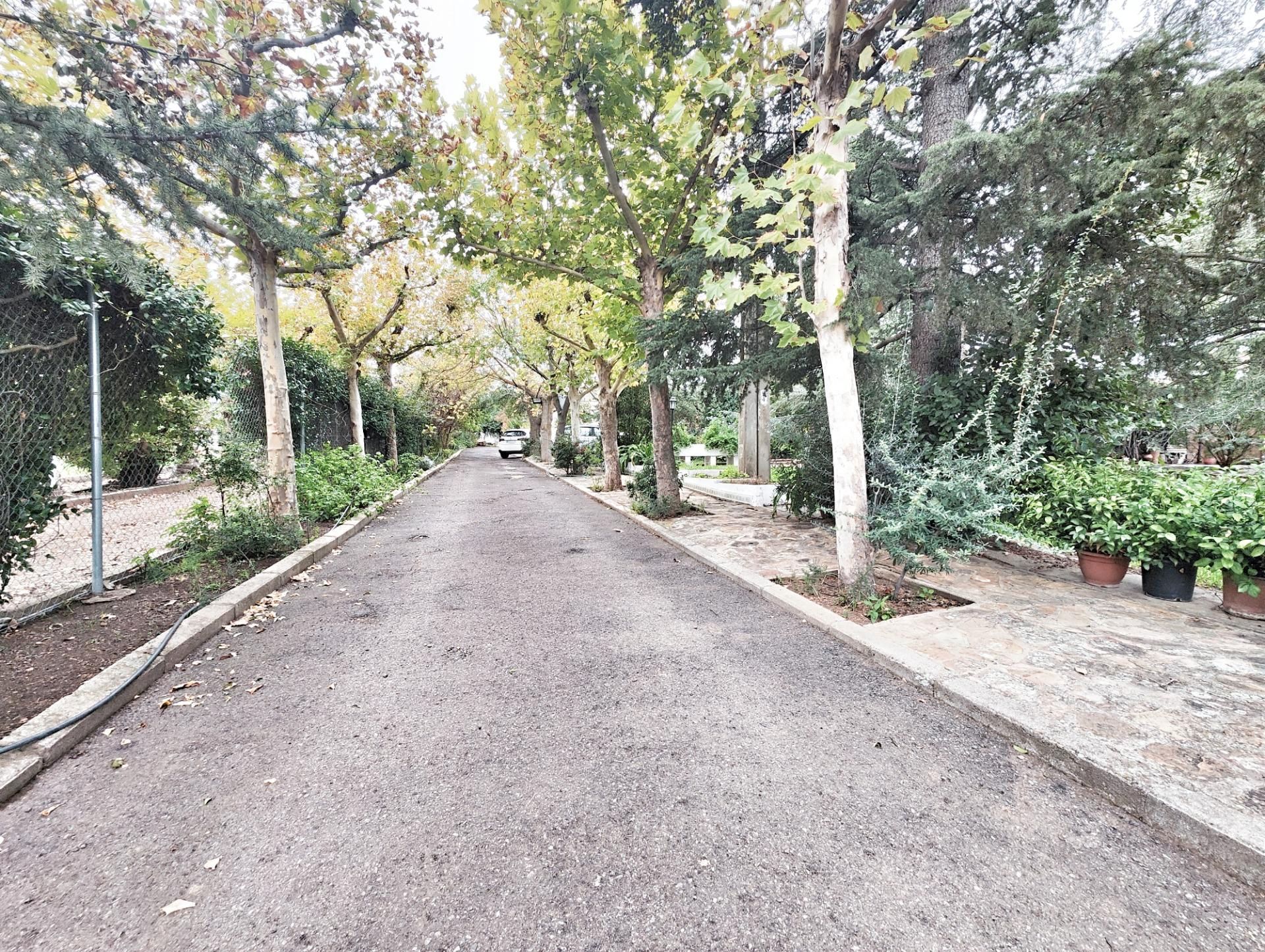 Vista exterior de Casa o xalet en venda en Puertollano amb Aire condicionat, Calefacció i Jardí privat