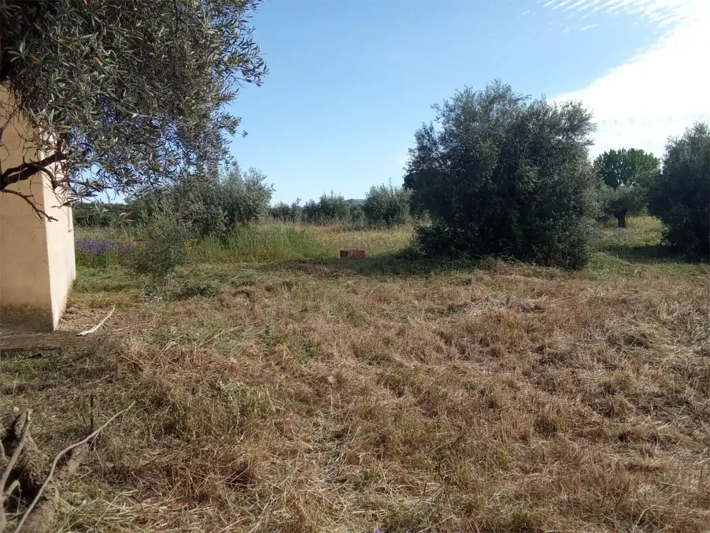 Pis en venda en Piedrabuena amb Jardí privat, Traster i Moblat
