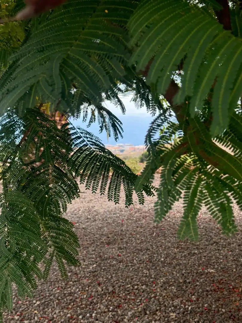 Exterior view of Country homes for rent in Güímar