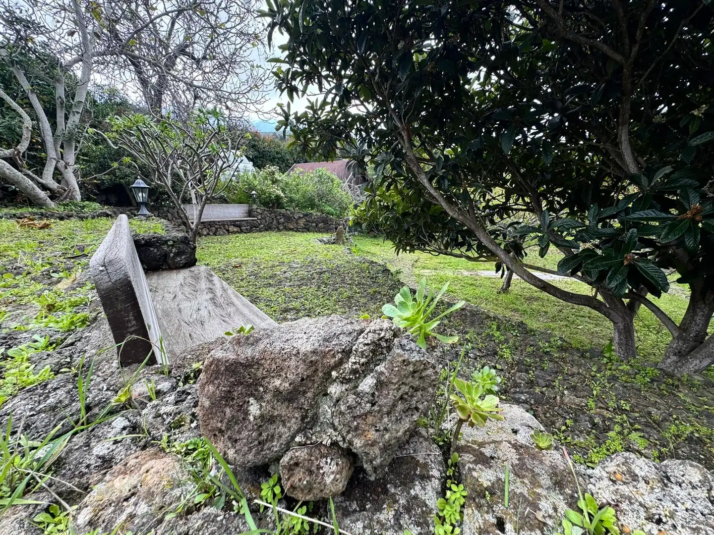 Jardí de Finca rústica en venda en Icod de los Vinos amb Jardí privat, Terrassa i Piscina