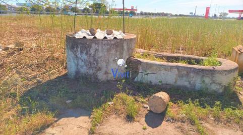 Foto 5 de Finca rústica en venda a Mairena del Alcor, Sevilla