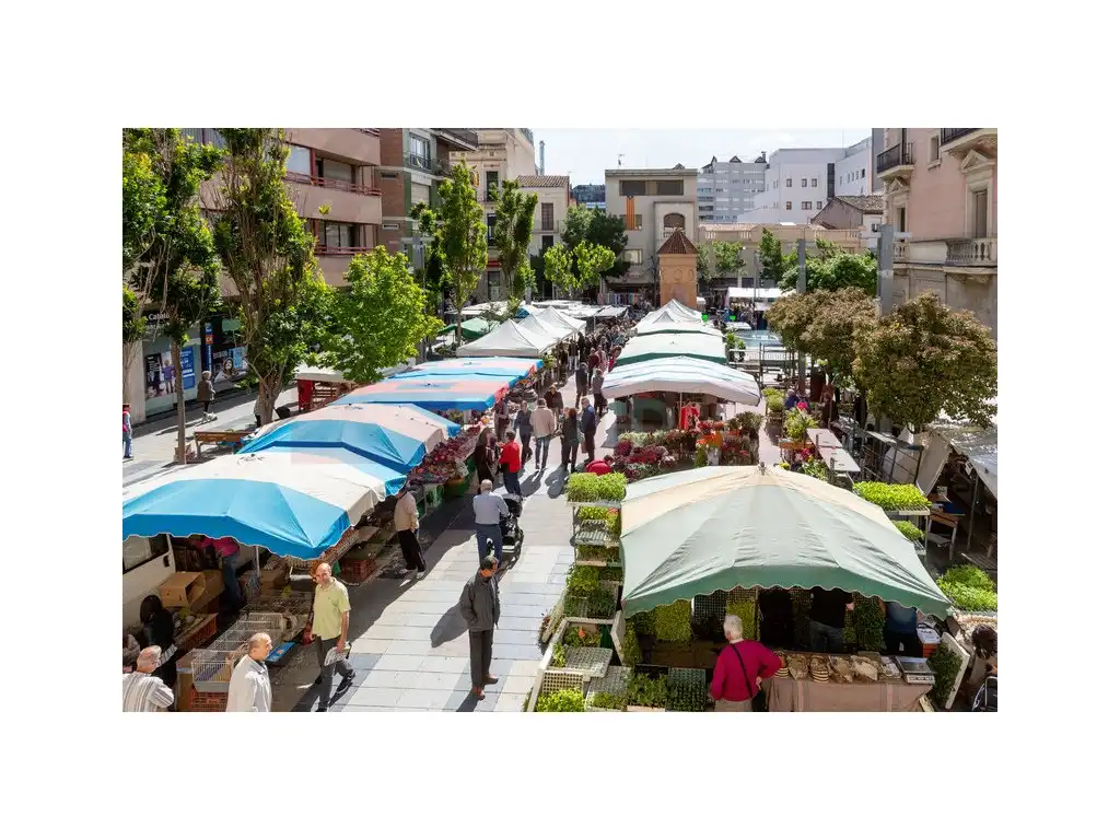 Local comercial de lloguer a Plaza Lluis Perpinya, imagen 4