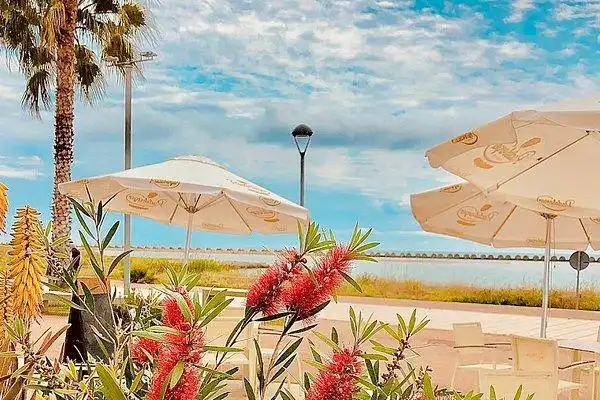 Local comercial en alquiler en Les Salines - Pla de Sant Pere, imagen 3