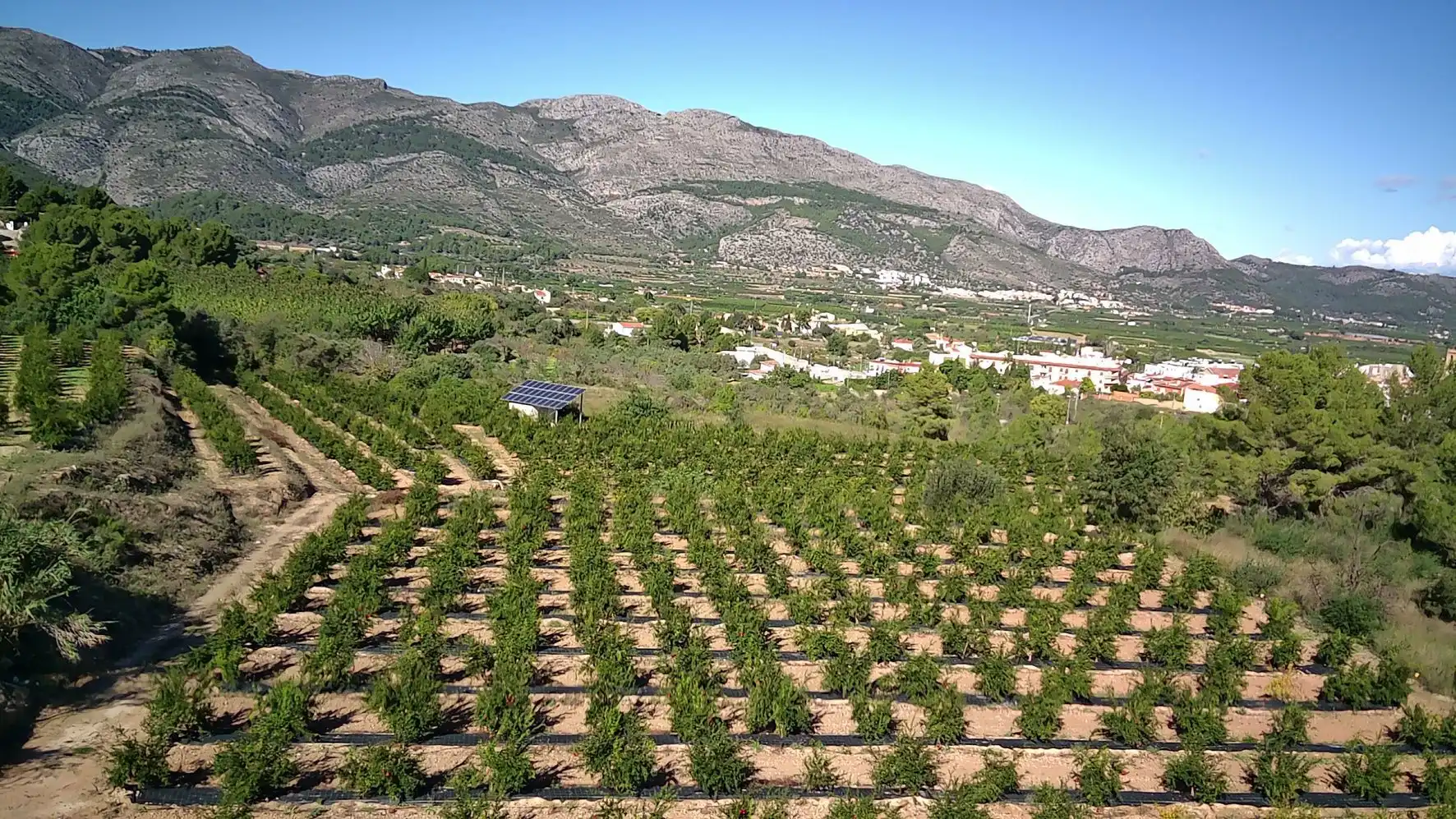 Terrenos y solares en venta en Tormos, imagen 5