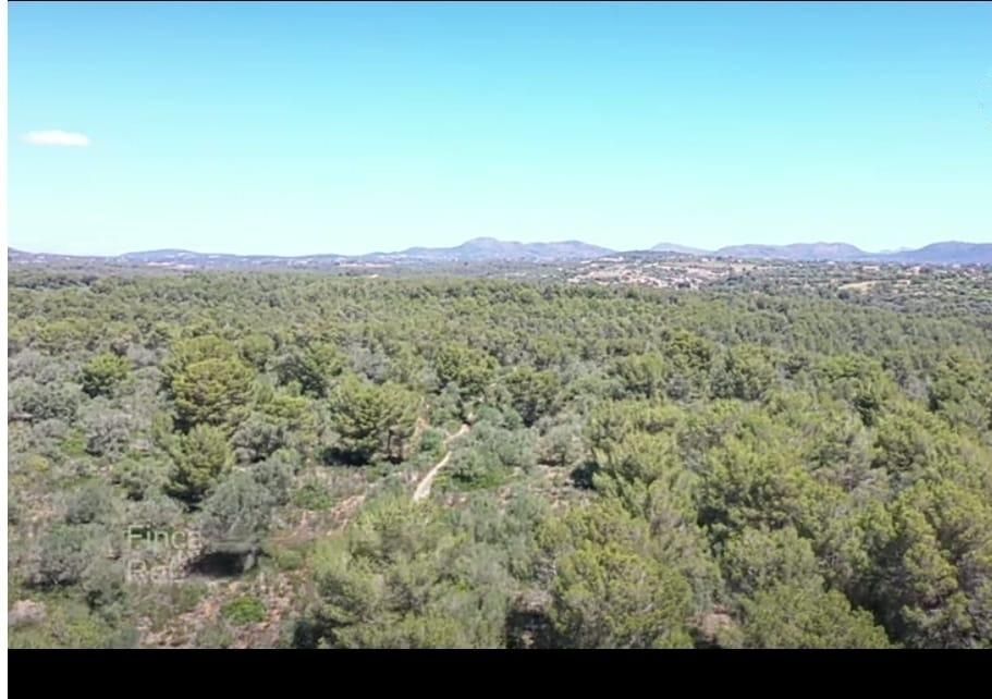 Land for sale in Manacor