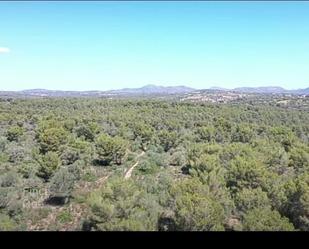 Land for sale in Manacor