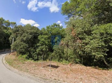 Terreno rustico in vendita a Turo de la Carlina