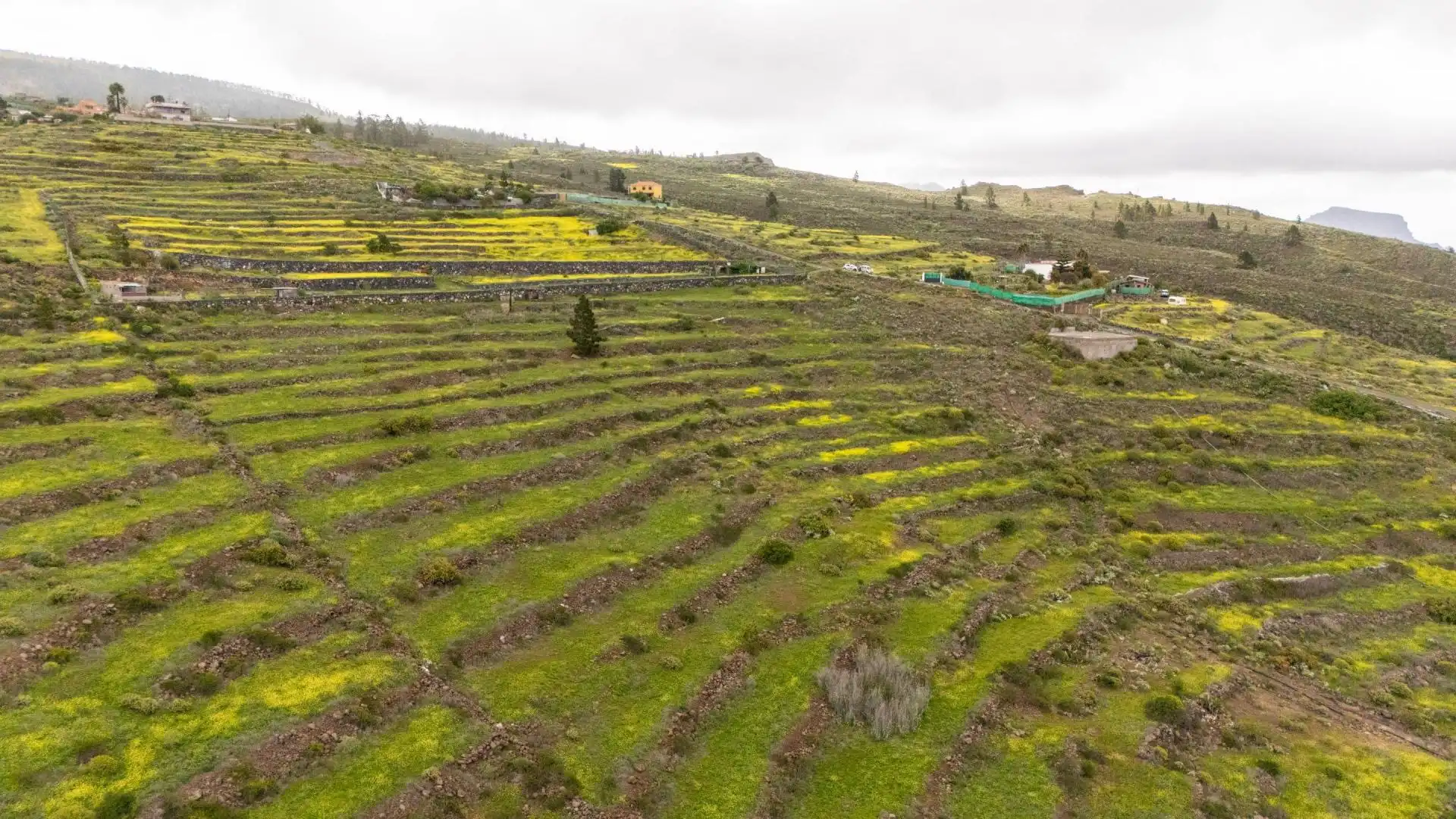 Terreno rustico in vendita a Casco Urbano, imagen 4