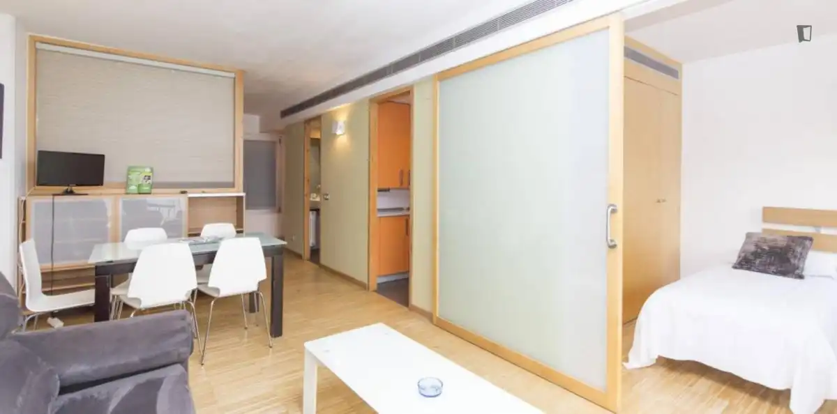 Apartament amb ascensor de lloguer a Centro, imagen 10