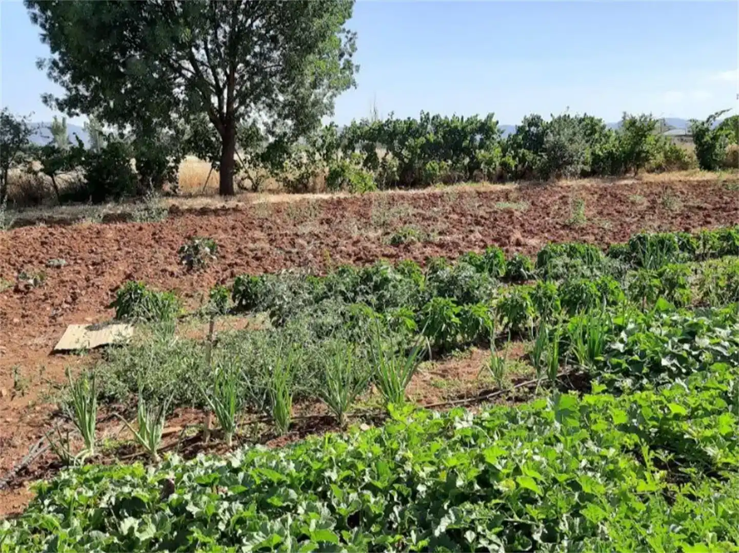 Jardí de Finca rústica en venda en Retuerta del Bullaque amb Aire condicionat i Piscina